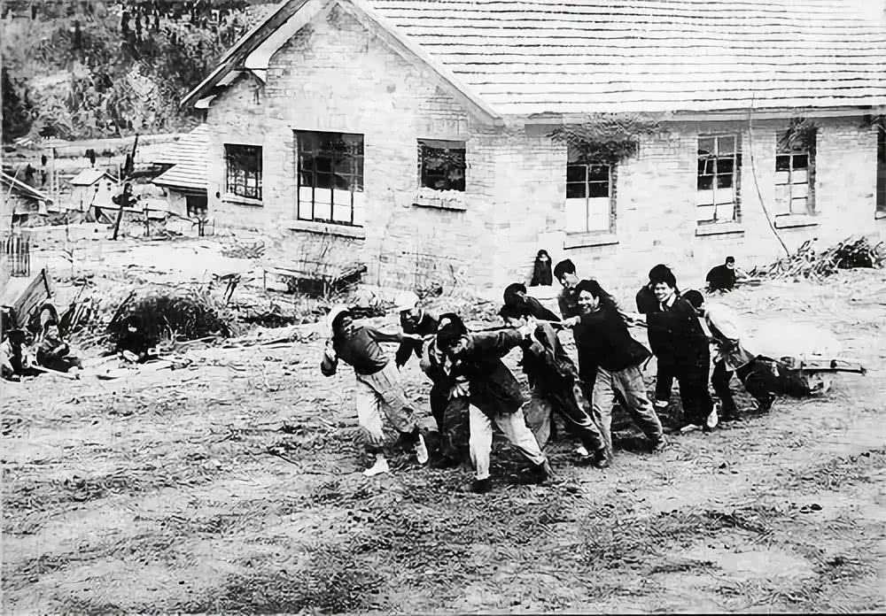 病毒学家顾方舟辞世，他发明的“糖丸”消灭了中国小儿麻痹症！