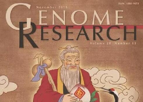 中国科学家发现长寿机制