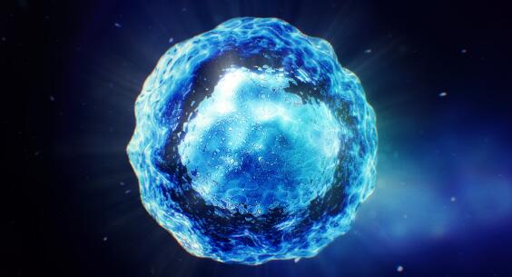 美科学家找到细胞“燃料”输送新途径