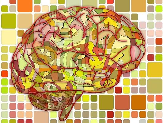 日本开发“恢复记忆药物”引热议，人体试验结果公布