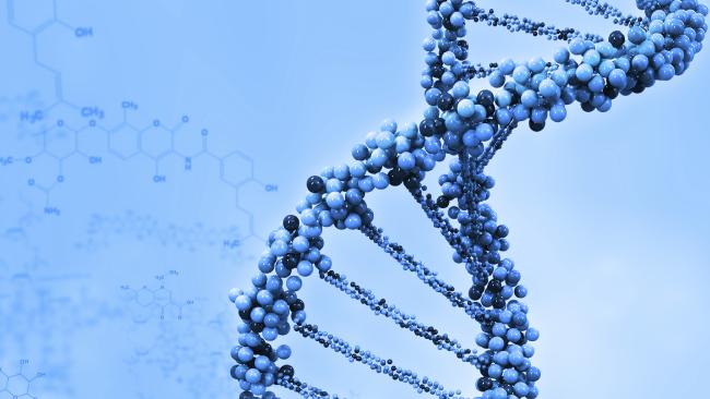 哈佛大学研究：40%疾病由遗传引发 25%由环境造成