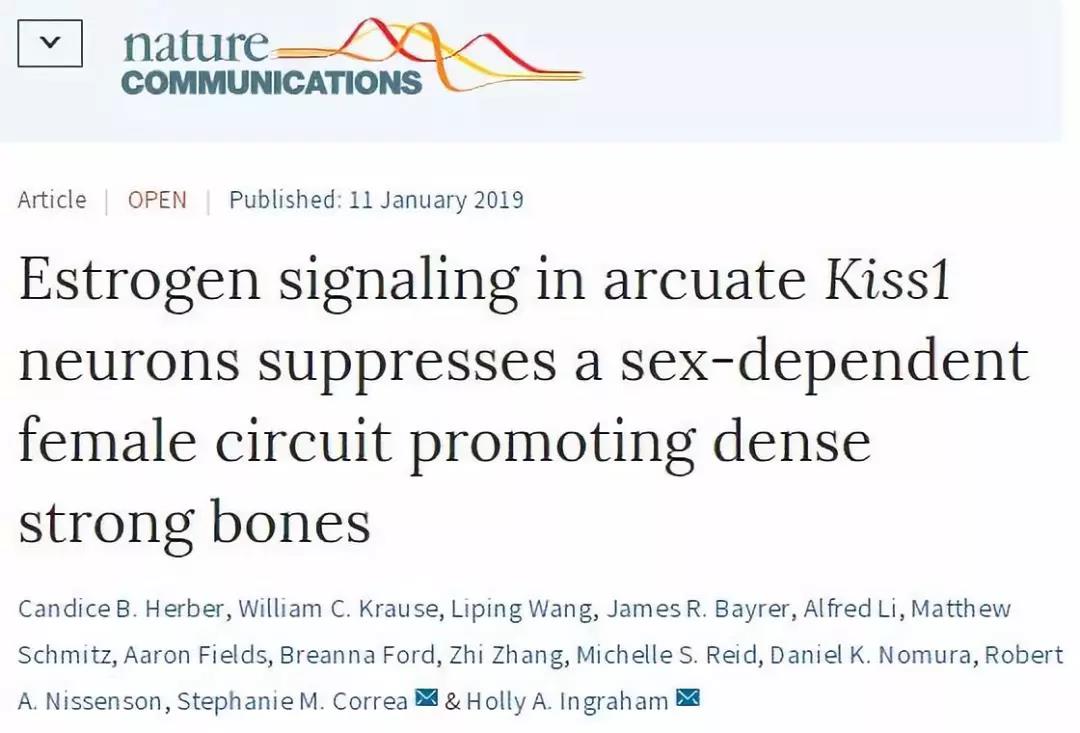 《自然》最新研究实现骨量增加800%，骨质疏松竟然和雌激素有关！