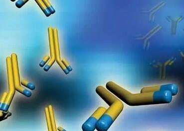 双特异性抗体开发的中国力量，最受关注的是它们！