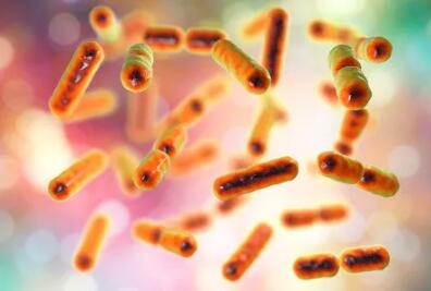 《科学》报道：一不小心暴露年龄？秘密全在肠道菌群