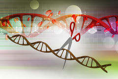 美研究利用“基因剪刀”应对抗生素耐药性