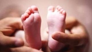 科技部回应“基因编辑婴儿事件”，南方科技大学公开声明解除与贺建奎的劳动合同关系