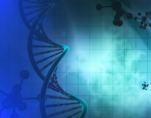 解禁不孕等基础研究后，日本允许在患者体内使用基因编辑技术