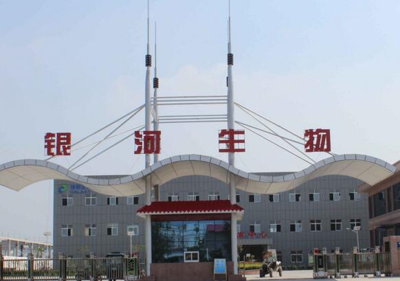 银河生物涉嫌违规被立案调查 战略转型后三年业绩连降