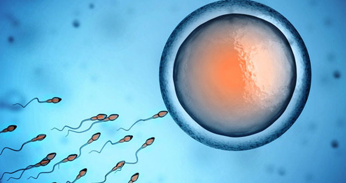 首个“男性避孕凝胶”临床试验开启，称有效率高于90%