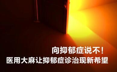 向抑郁症说不！医用大麻让抑郁症诊治现新希望