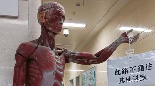 华西医院假肢中心设“扒皮人体指路牌”，医生：问路的少九成