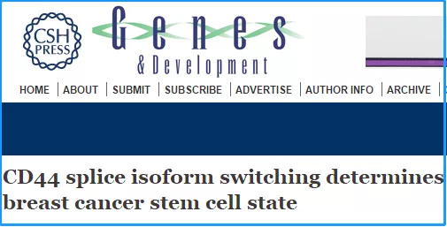 战胜乳腺癌！CD44或将成为下一个风口，癌细胞转移和肿瘤复发重大发现