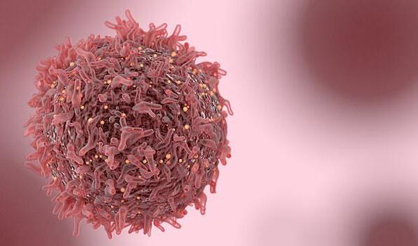 以色列科学家声称一年内提出治愈癌症的神秘疗法