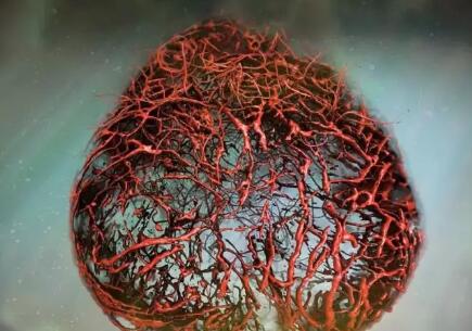 科学家首次培养出完美人体血管，将造福4.2亿糖尿病患者