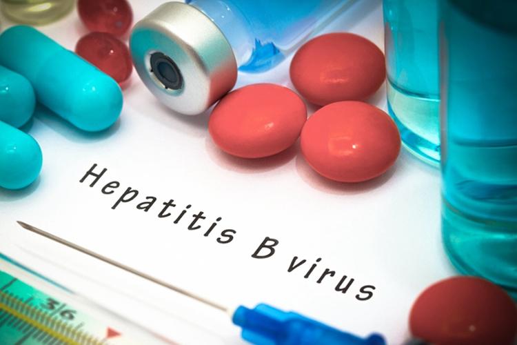 世界首个高仿真乙肝病毒致人肝硬化小鼠模型诞生