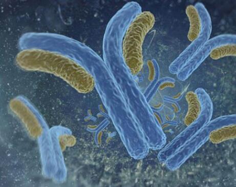 FDA批准首个纳米抗体，治疗获得性血栓性血小板减少性紫癜