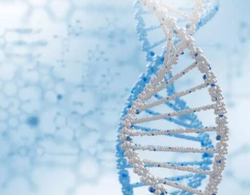 2018年基因产业研究报告