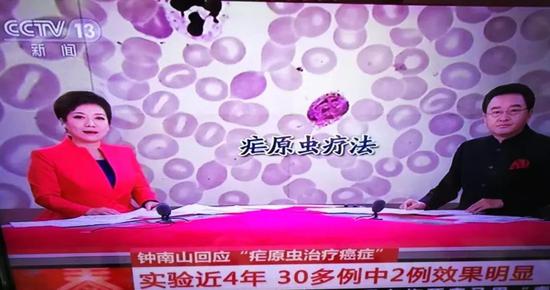 专家点评“疟疾治愈癌症”：使用“治愈”易误导大众