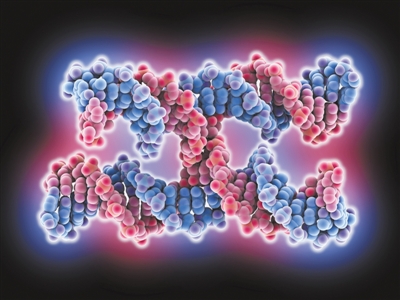 施一公团队顶级期刊连续发文：直击生命大分子过招中的力与美