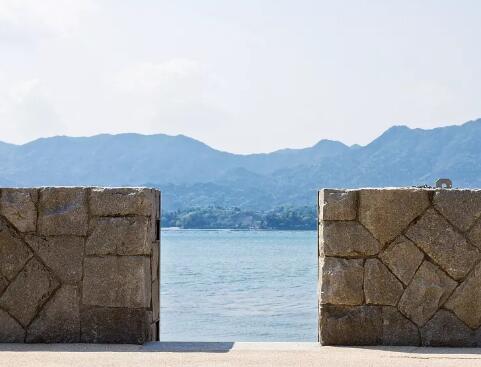 消逝的围城：“药占比”20年之怪现状