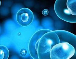 海南抓紧研究博鳌超级医院体制机制及干细胞管理