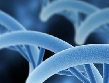 基因检测临床应用领域市场分析（上）