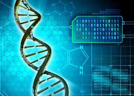 用DNA藏匿电脑病毒：一次基因测序就劫取机密