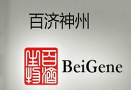 Zanubrutinib诞生记：首获FDA突破性疗法认定的本土抗癌药