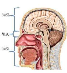 头骨上的“微雕”，中国医生完成了“不可能完成的任务”