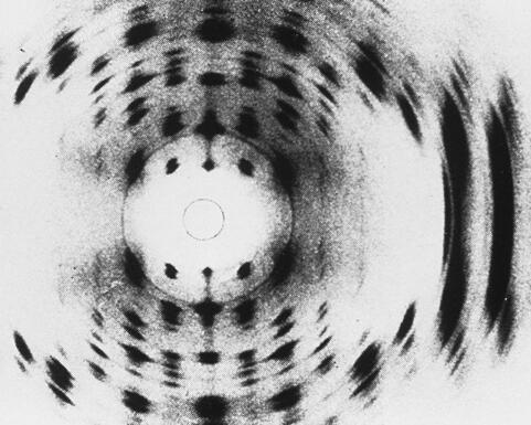 教科书又要改？Science：科学家创造出含八种核苷酸的双链DNA