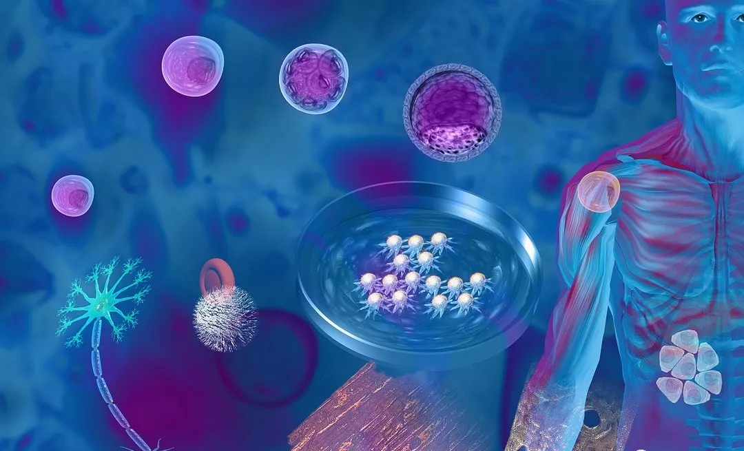 干细胞治疗，国内临床项目有哪些？