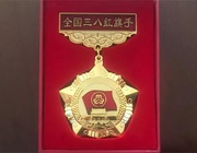 十位杰出女性荣获全国三八红旗手标兵荣誉称号，医疗领域占3席