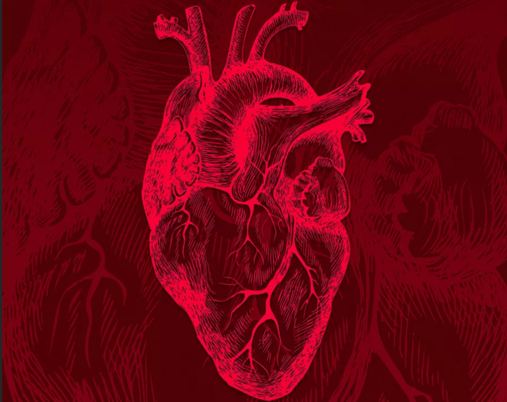 三星Galaxy Watch Active智能手表可测血压，但专业性受专家质疑