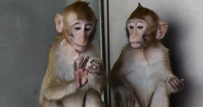 五项生命医学领域成果上榜“2018年度中国科学十大进展”