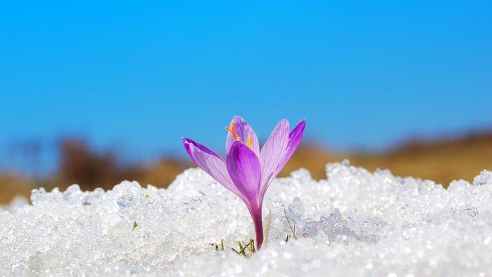 互联网医疗，没有“冬天”