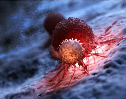 为什么在实体瘤中CAR-T“疗效不佳”？Nature最新文章给出解答