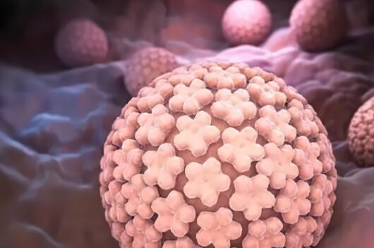 AI造福女性显身手！看华为云的AI防癌黑科技牛在哪