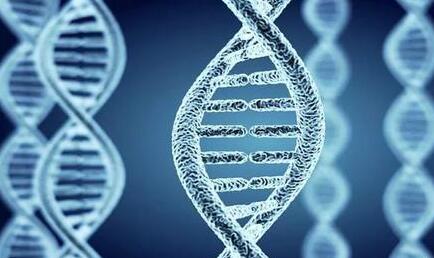 恭喜生命字母表喜提4名新成员！上新了，DNA！