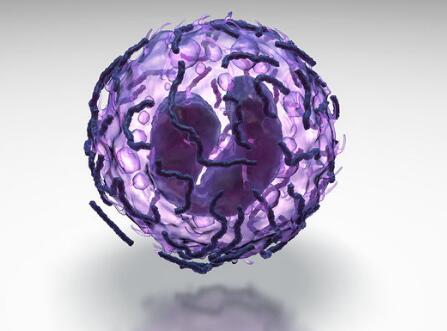 新进展！Science子刊：CAR-T疗法治疗小鼠狼疮显威力