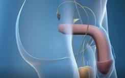 无需药物和手术，美国GAINSWave公司通过声波治疗阳痿，成功率高达75%