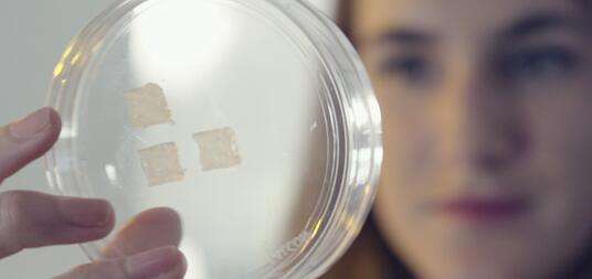 我们能通过打印皮肤来治愈伤口吗?