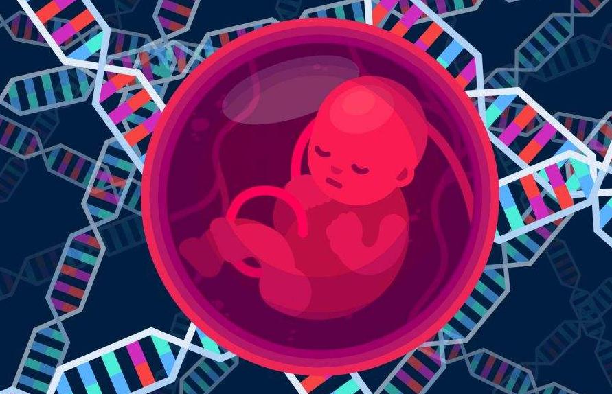 张锋等18位科学家联名呼吁暂停人类生殖细胞系基因编辑临床应用