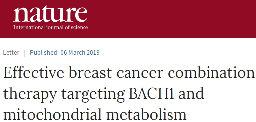 Nature新证据！“神药”二甲双胍或可对抗“最坏”乳腺癌