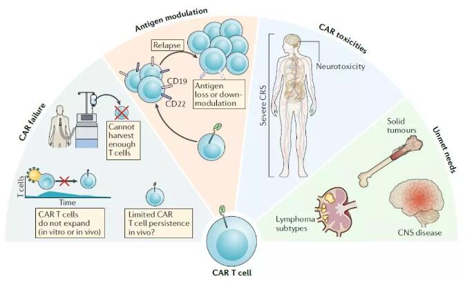 Nature深度：CAR-T疗法想要腾飞，这个问题一定要解决