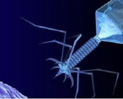 丈夫感染超级细菌，妻子从污水中找到了”解药“