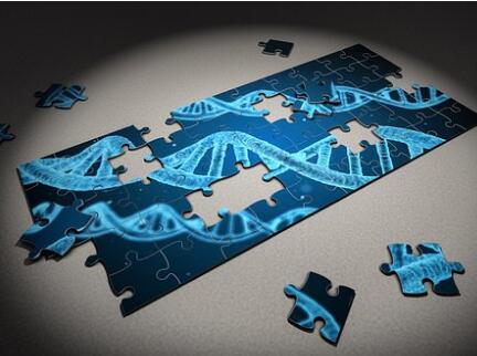 WHO 将制定人类基因组编辑国际治理框架