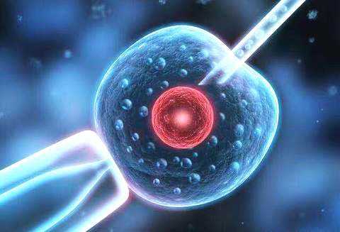 辅助生殖产业报告：探寻742万需求方，5720亿市场虚位以待