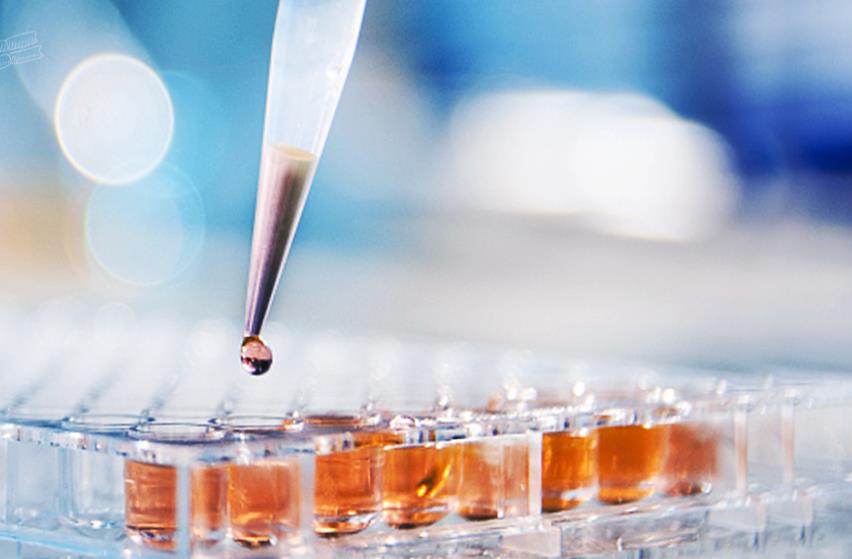 全球首个！君实生物免疫治疗生物药BTLA单抗在美临床试验获受理