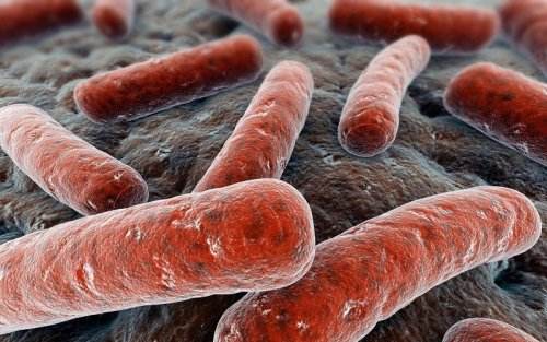 国内抗结核用药市场及产品解读