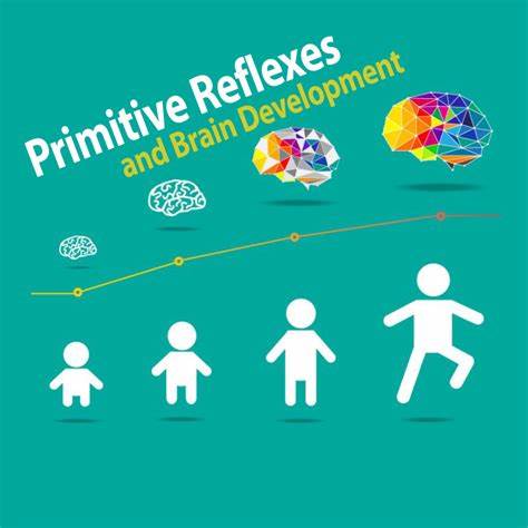 人类大脑有自己的“发育时间表”